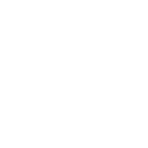 Vectorizer